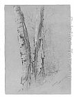 Famous Study Paintings - Study of Birch Trunks (Scribners')